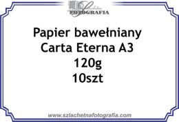 Papier bawełniany Carta eterna 120g A3